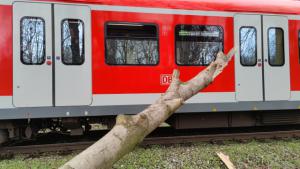 Baum-auf-S-Bahn-012