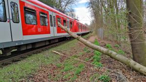 Baum-auf-S-Bahn-014